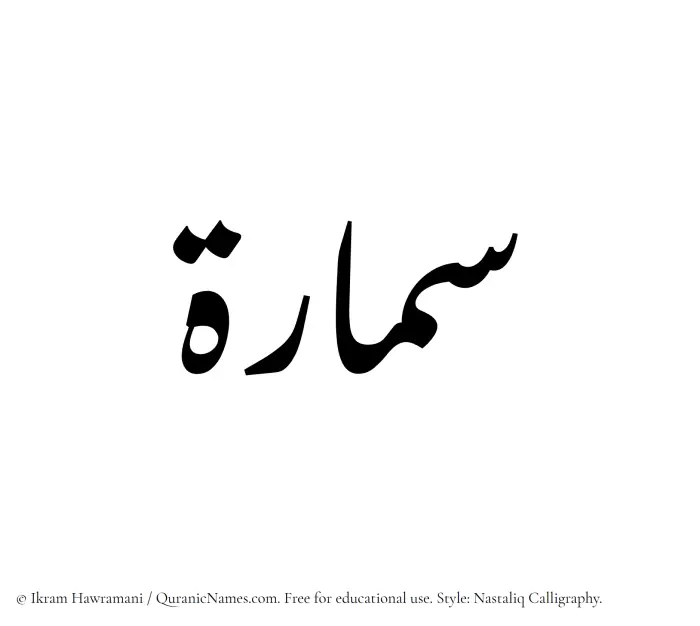 The Muslim name word Samaara written in Nastaliq calligraphic script