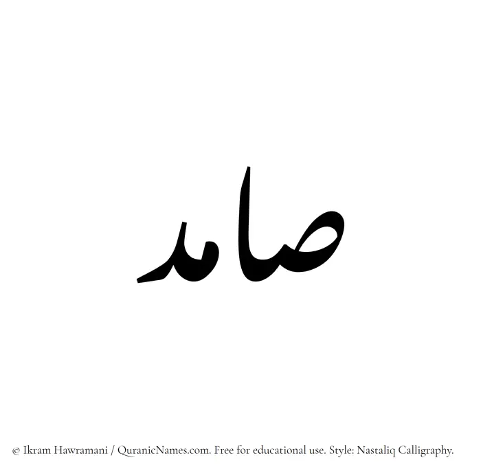 The Muslim name word Samid written in Nastaliq calligraphic script