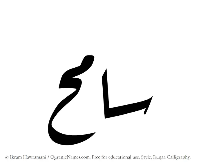 The Muslim name Samih written in Ruqaa calligraphic script