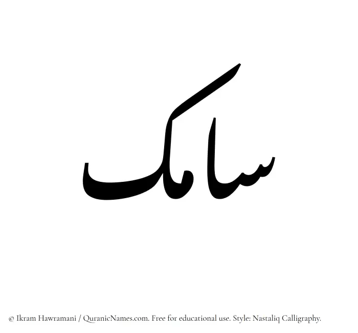 The Muslim name word Samik written in Nastaliq calligraphic script