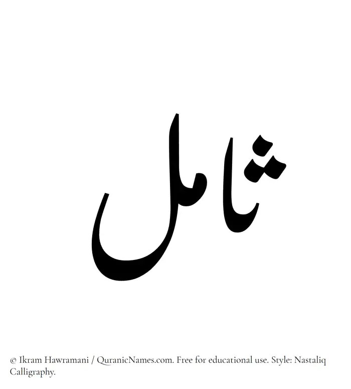 The Muslim name word Samil written in Nastaliq calligraphic script