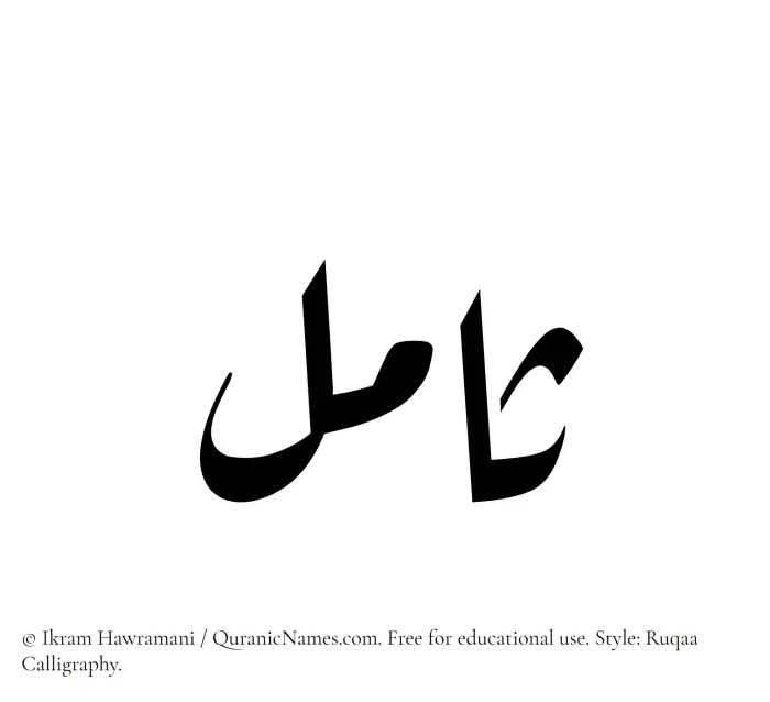 The Muslim name Samil written in Ruqaa calligraphic script