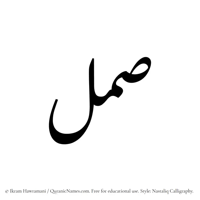 The Muslim name word Saml written in Nastaliq calligraphic script