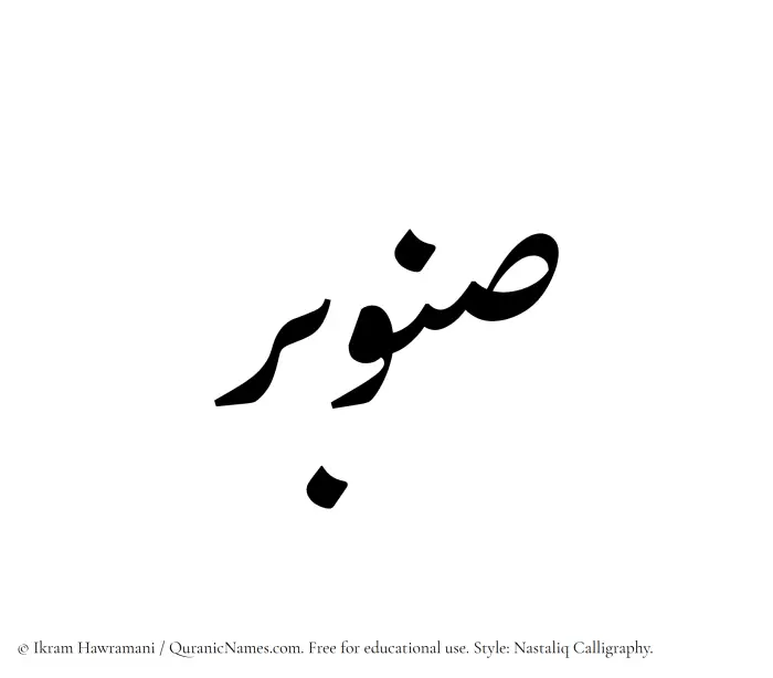 The Muslim name word Sanubar written in Nastaliq calligraphic script