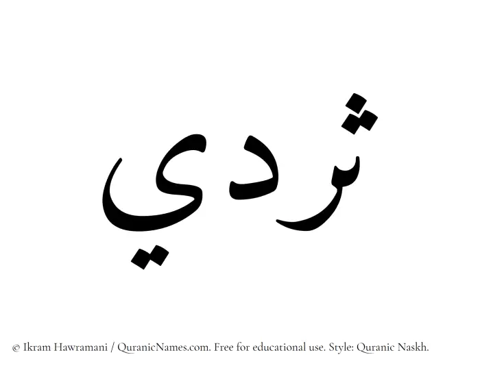 The Muslim name Sardee written in Quranic naskh script