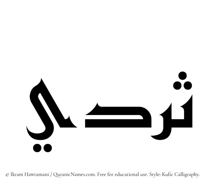 The Muslim name Sardee written in Kufi/Kufic calligraphic script