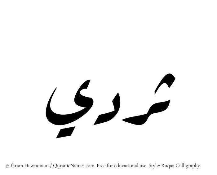 The Muslim name Sardee written in Ruqaa calligraphic script