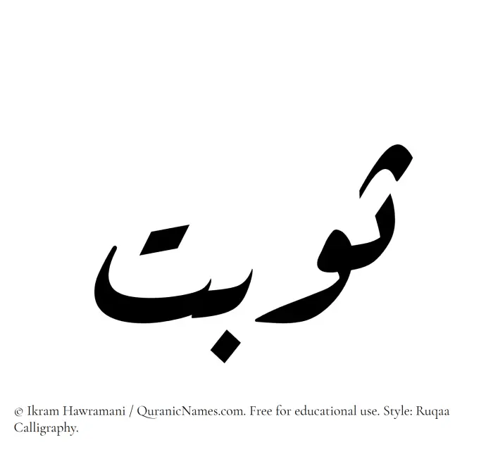 The Muslim name Sawbat written in Ruqaa calligraphic script