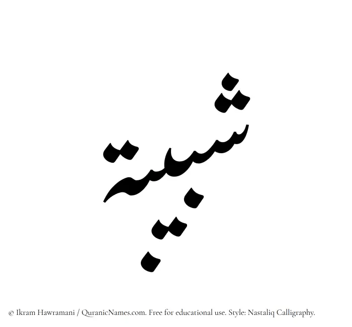 The Muslim name word Shabibah written in Nastaliq calligraphic script