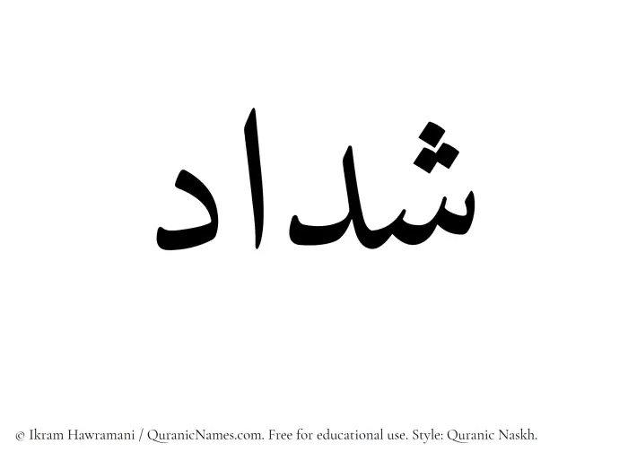 The Muslim name Shaddad written in Quranic naskh script