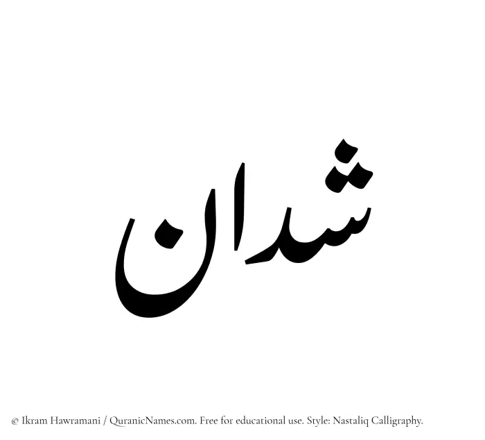 The Muslim name word Shaddan written in Nastaliq calligraphic script