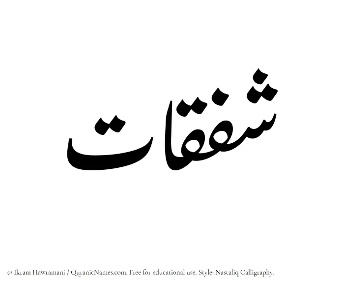 The Muslim name word Shafaqat written in Nastaliq calligraphic script
