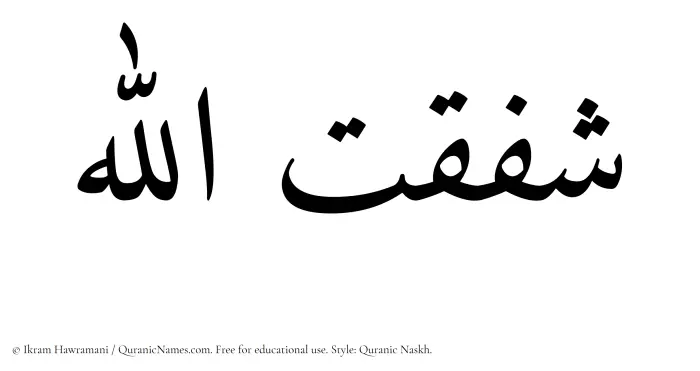 The Muslim name Shafaqatullah written in Quranic naskh script