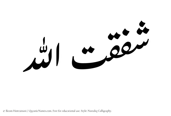 The Muslim name word Shafaqatullah written in Nastaliq calligraphic script
