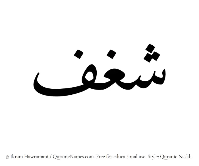 The Muslim name Shaghf written in Quranic naskh script