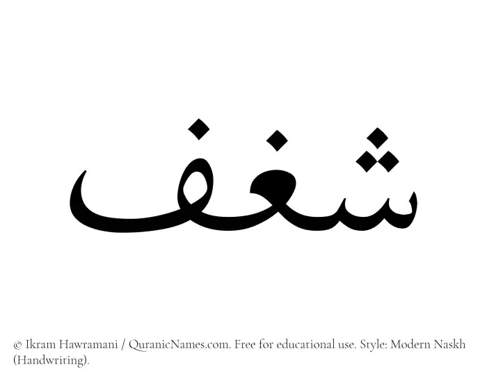 The Muslim name Shaghf written in naskh script