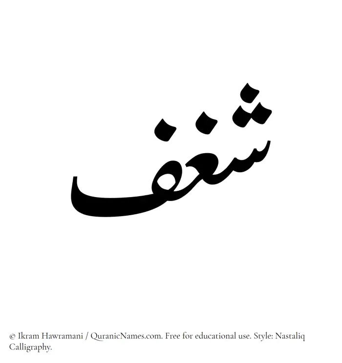 The Muslim name word Shaghf written in Nastaliq calligraphic script