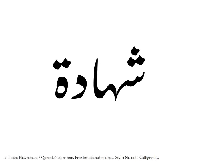 The Muslim name word Shahada written in Nastaliq calligraphic script