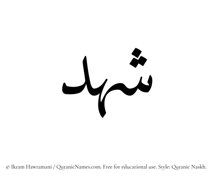 The Muslim name Shahd written in Quranic naskh script