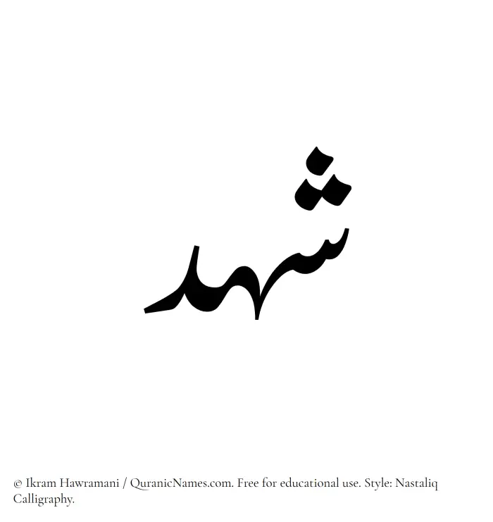 The Muslim name word Shahd written in Nastaliq calligraphic script