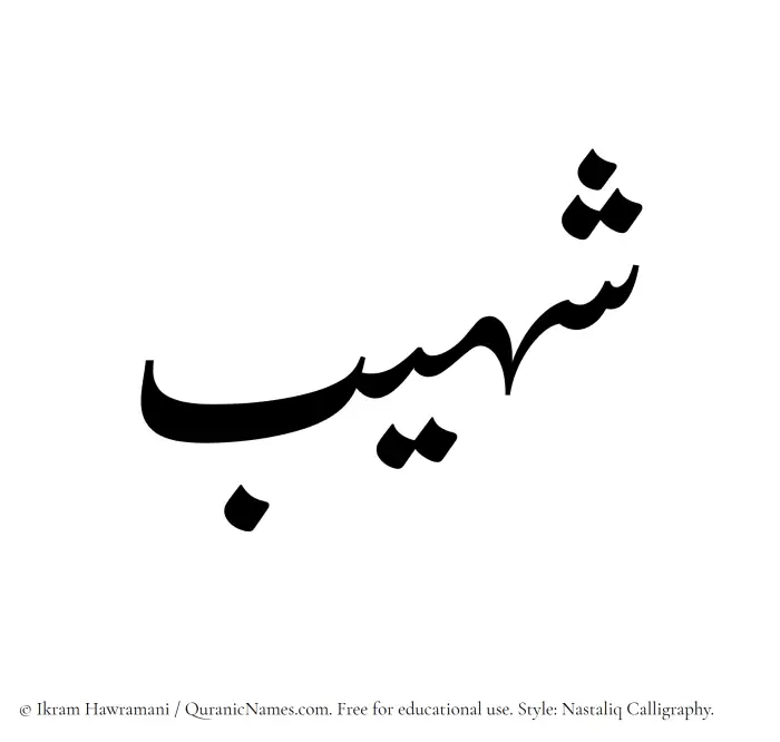 The Muslim name word Shaheeb written in Nastaliq calligraphic script
