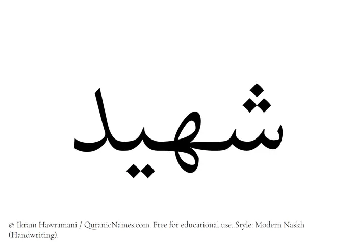 The Muslim name Shaheed written in naskh script
