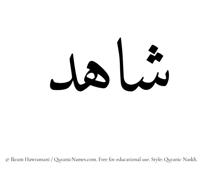The Muslim name Shahid written in Quranic naskh script