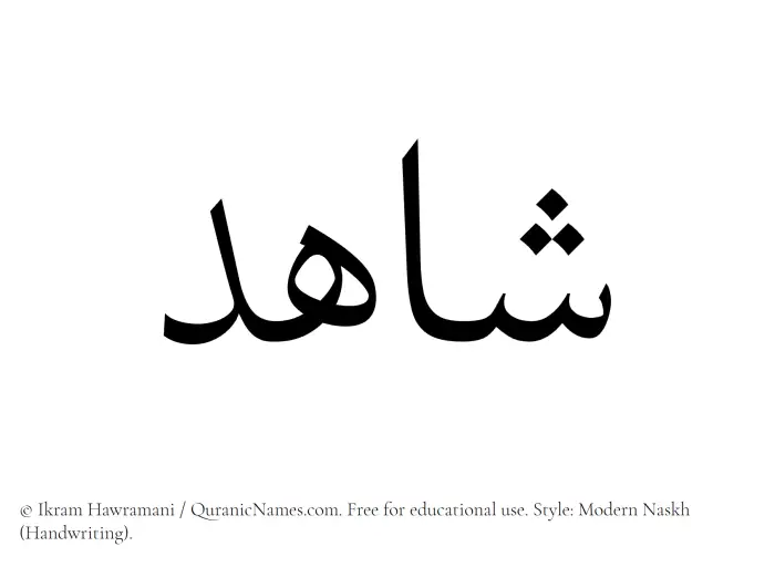 The Muslim name Shahid written in naskh script