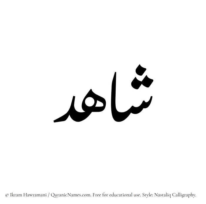 The Muslim name word Shahid written in Nastaliq calligraphic script