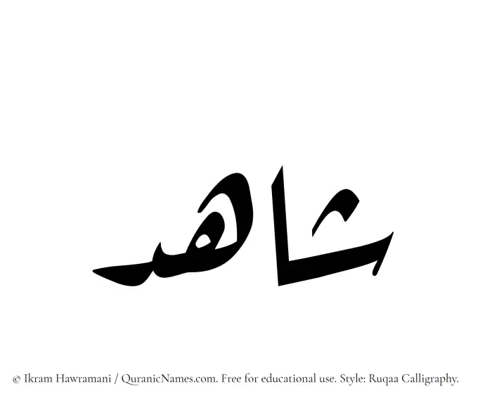 The Muslim name Shahid written in Ruqaa calligraphic script