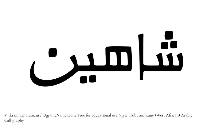 The Muslim name Shahin written in Rubutun Kano calligraphic script
