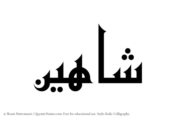 The Muslim name Shahin written in Kufi/Kufic calligraphic script