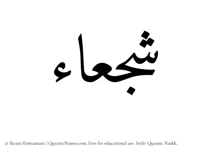 The Muslim name Shajaa written in Quranic naskh script