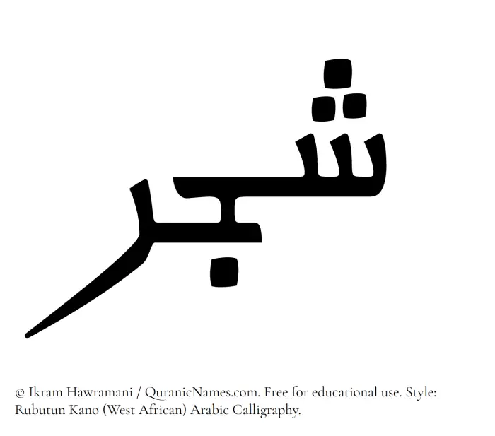 The Muslim name Shajar written in Rubutun Kano calligraphic script