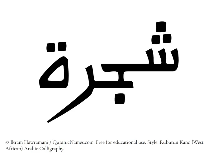 The Muslim name Shajarah written in Rubutun Kano calligraphic script