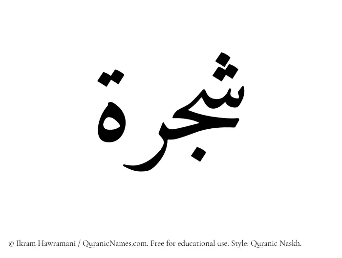 The Muslim name Shajarah written in Quranic naskh script