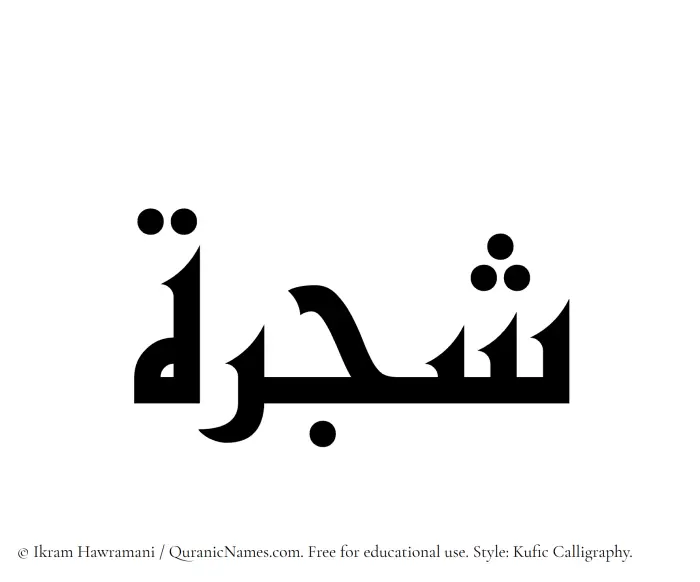 The Muslim name Shajarah written in Kufi/Kufic calligraphic script