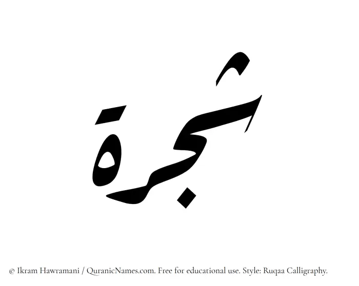 The Muslim name Shajarah written in Ruqaa calligraphic script