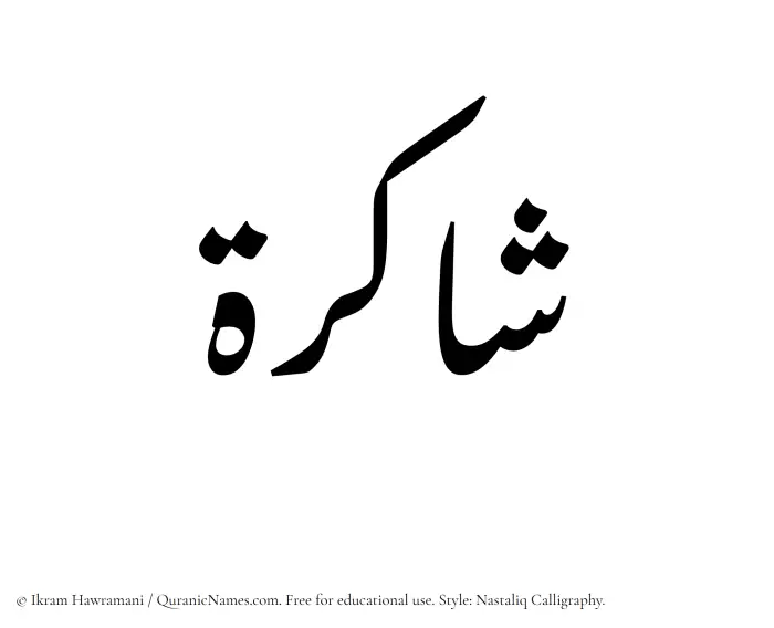 The Muslim name word Shakirah written in Nastaliq calligraphic script