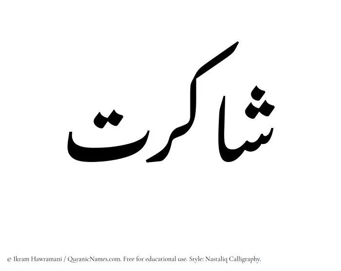 The Muslim name word Shakirat written in Nastaliq calligraphic script
