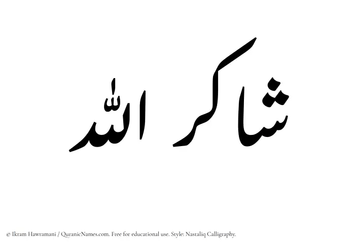 The Muslim name word Shakirullah written in Nastaliq calligraphic script