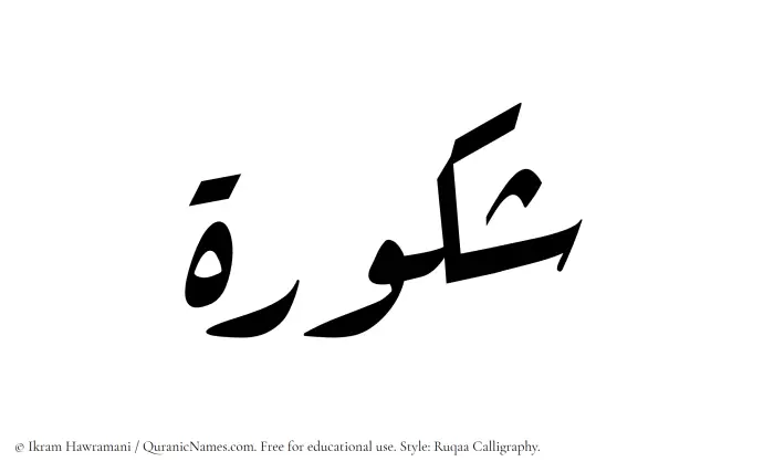 The Muslim name Shakura written in Ruqaa calligraphic script
