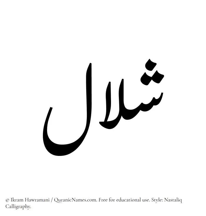 The Muslim name word Shalal written in Nastaliq calligraphic script