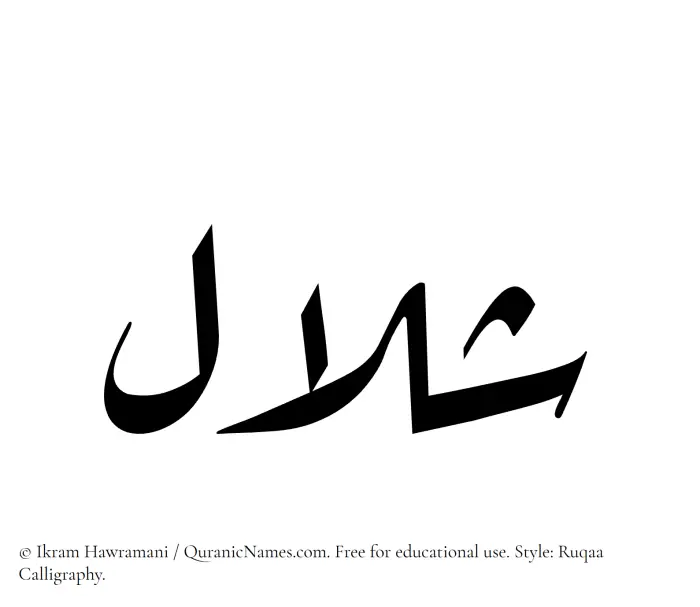 The Muslim name Shalal written in Ruqaa calligraphic script