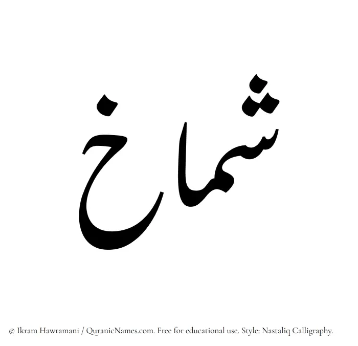The Muslim name word Shamakh written in Nastaliq calligraphic script