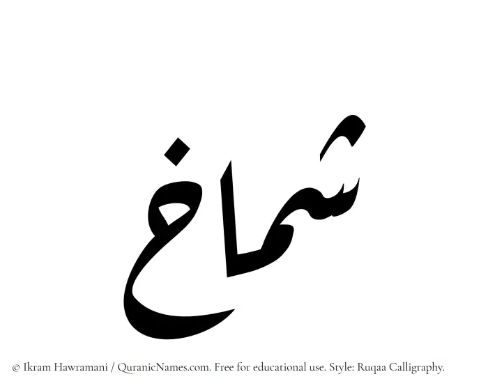 The Muslim name Shamakh written in Ruqaa calligraphic script