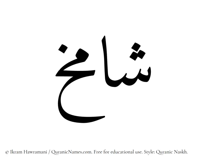 The Muslim name Shamikh written in Quranic naskh script