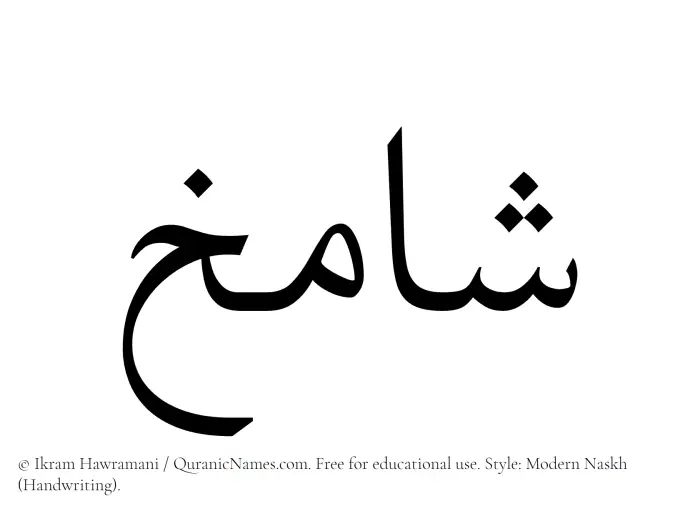 The Muslim name Shamikh written in naskh script