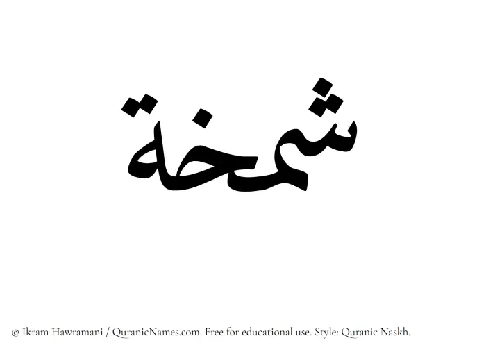 The Muslim name Shamkhah written in Quranic naskh script