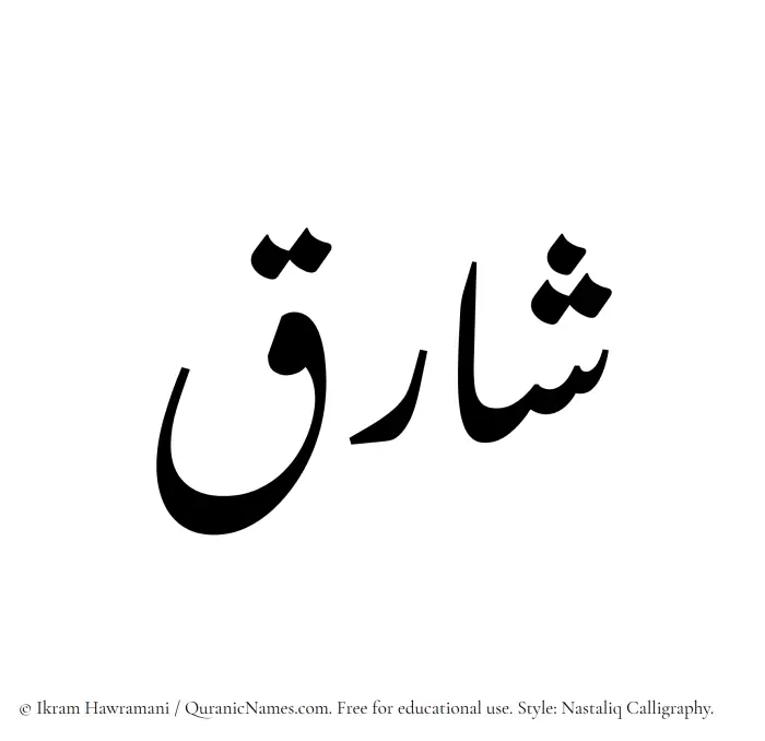 The Muslim name word Shariq written in Nastaliq calligraphic script
